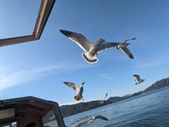 Ȃ񂳂̒OCʊЂւ̓eʐ^2