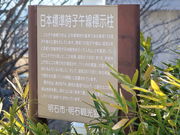 yosshy̎qߐWig{̕Wj̓eʐ^2