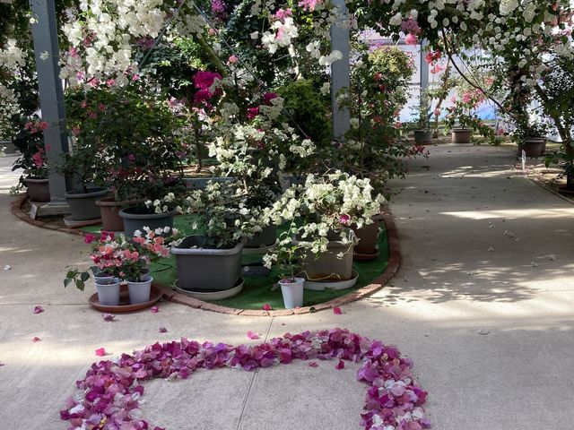 �����n�[�g_�u�[�Q���n�E�X���