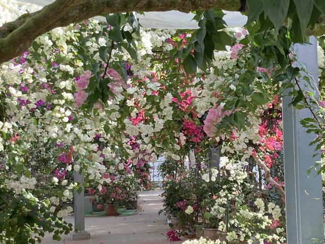 �A�[�`�@���ɂ������ς���������܂��B_�u�[�Q���n�E�X���