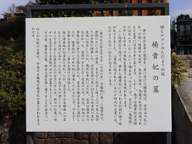 �R��������s�@�񑸉@_�񑸉@�i�R��������s�j