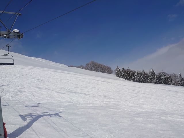 �R�[�X�̕����L���̂Ŋ���₷��_�⌴