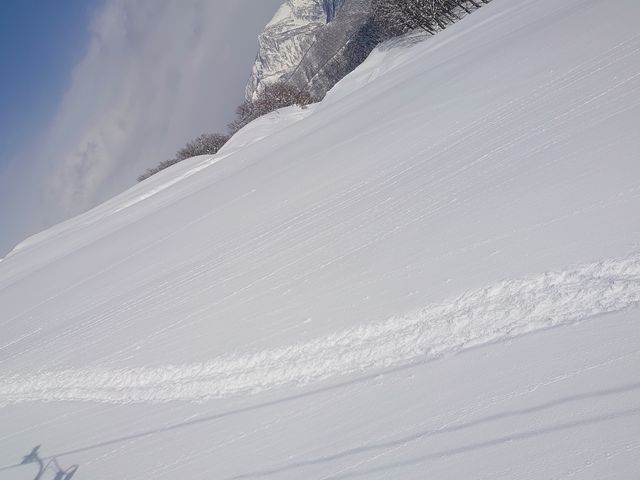 ������_�⌴