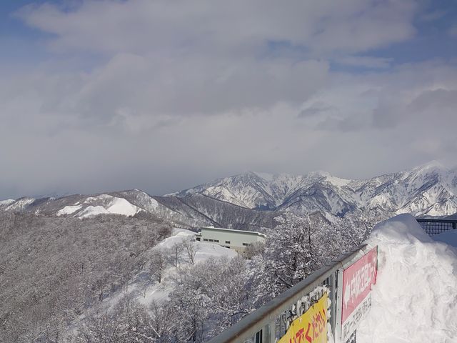 �R������̌i�F�͂悢_�⌴