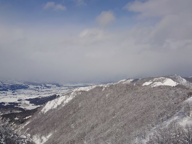 �R���B_�⌴