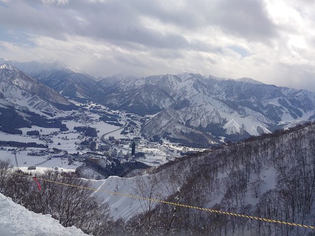 ����͏�B�������̓���_�⌴