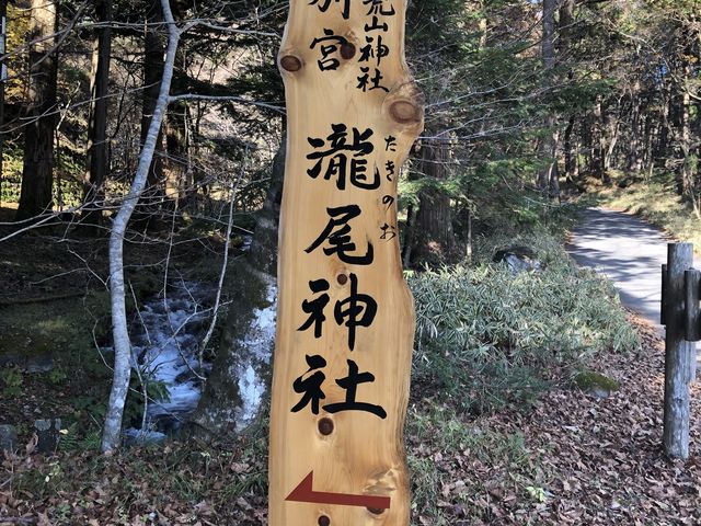 󂩂܂II_jՒTHi_ЃR[Xj