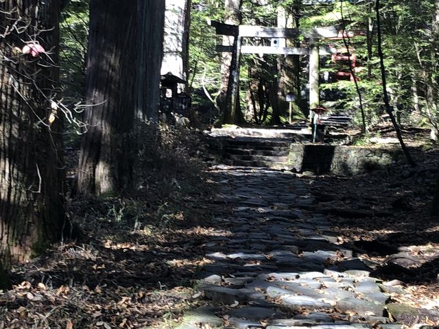 ȕ͋CB_jՒTHi_ЃR[Xj