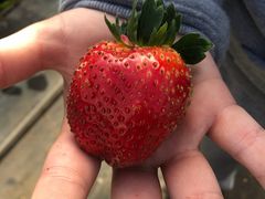 g񂳂̂܂t@[ւ̓eʐ^3