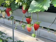 낤̎RFUJIt[cp[Nւ̓eʐ^1