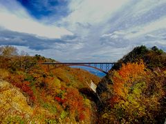 ₱񂳂̌ȏxmւ̓eʐ^1