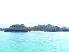 katsuko̖` ꑍAEghAcA[Xւ̓eʐ^1