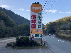 �D�􉀃t���[�c�����h�̎ʐ^1