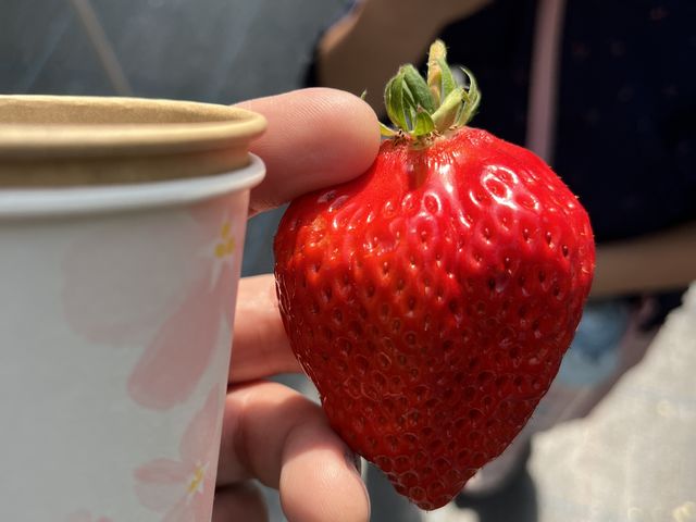 w^̎RbvƔrcȂȂ_C`Sx[X