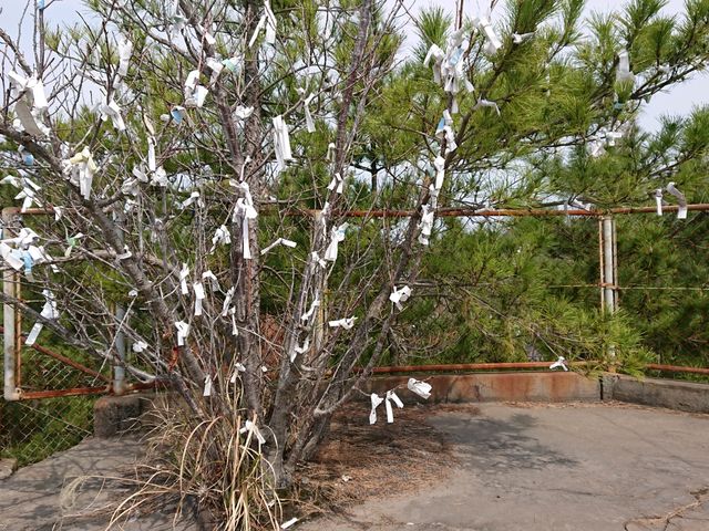 �W�]��̐A�؂ɂ��݂�����_��椐_��