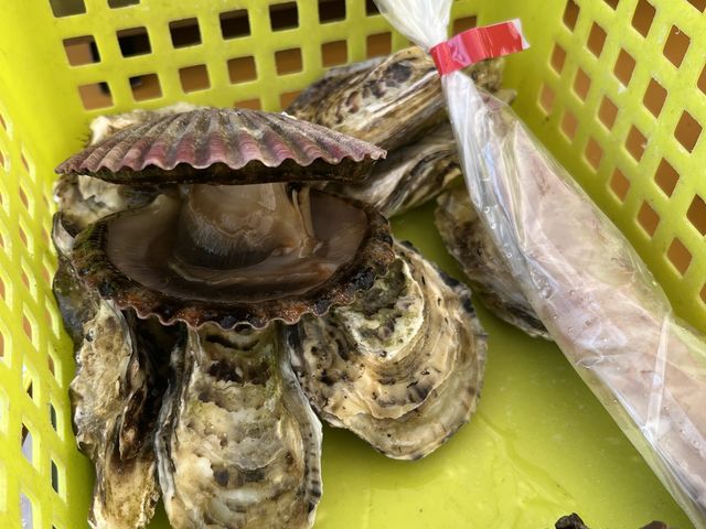 1�l1���̃J�S�ɗp�ӂ���Ă܂��B_�L�h�ہ@�J�L�̍��X��