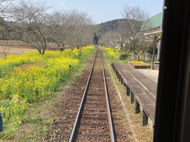 �؂̉Ԃ�����ق�_�����ݓS��