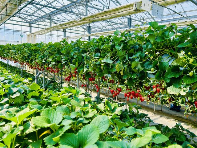 �n�E�X���͍L�������ł��B_�x�ÃA�N�A�t�@�[��