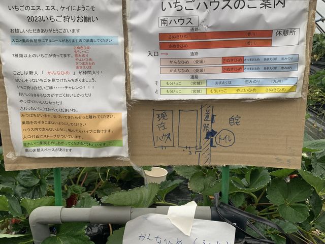 �n�E�X�̈ē�_(�L)�G�X.�G�X.�P�C