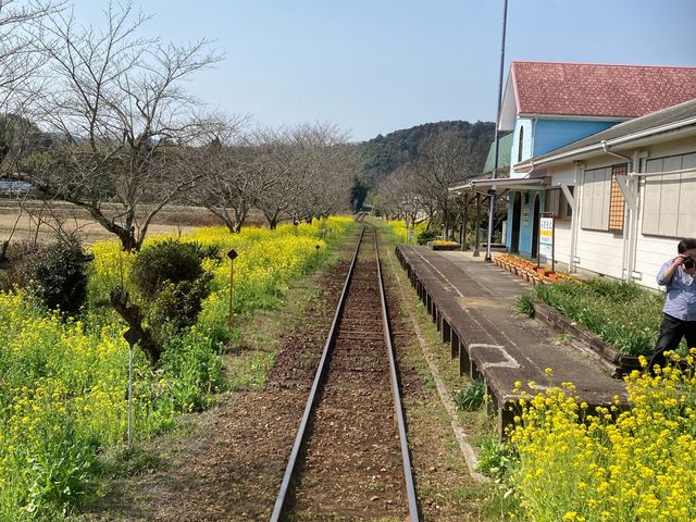 ��������������A�\���C���V�m���炫�܂�_�����ݓS��