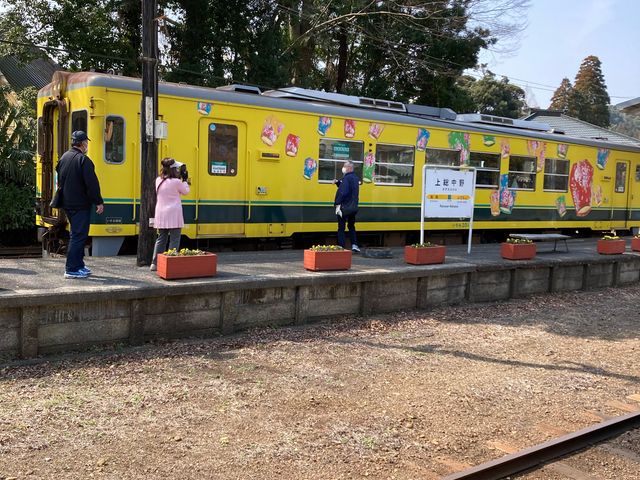 ���F�����킢���d��_�����ݓS��