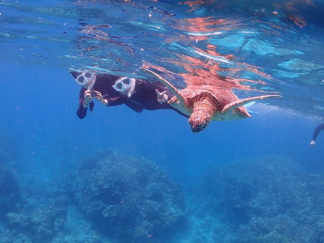 �E�~�K���ƃx�X�g�V���b�g_���S�Ґ��_�C�r���O�X�N�[�����܂�