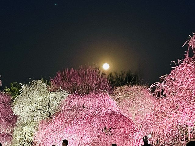 �����Ƃ̋����������I�I_�鎭�̐X�뉀