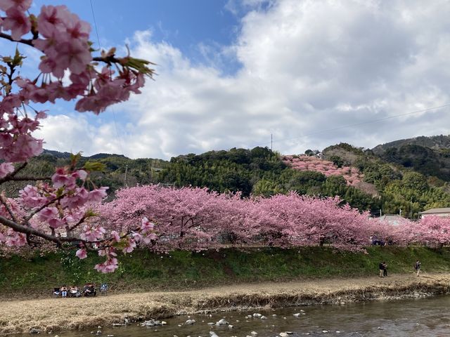 �ǂ��܂ł�����������_�͒Í��܂�