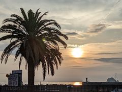 JR̂ȂEɓIWr[`ւ̓eʐ^1