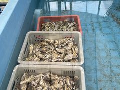 jI̐Lhہ@JL̍X؂ւ̓eʐ^1