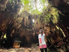 ƂYamakaravւ̓eʐ^1