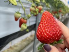 tm̊ό_X}Ct@[ւ̓eʐ^1