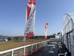 TomoMai̍삢ւ̓eʐ^1