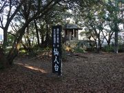 �������̔��������{�̓��e�ʐ^3