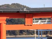 �������̔��������{�̓��e�ʐ^4