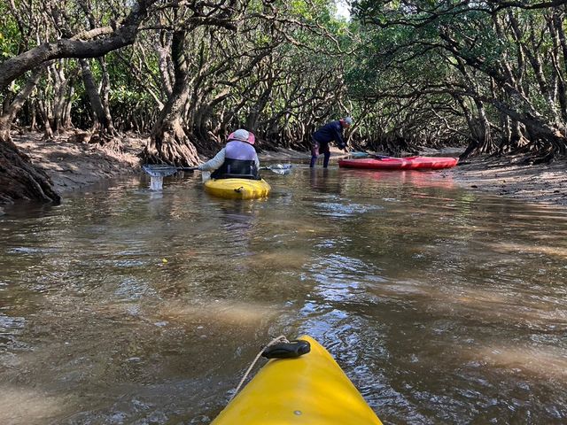 }O[u̗т͉̒₩łB23Nώ@𑱂KCh񂩂}O[u̘bɊłB_}O[u