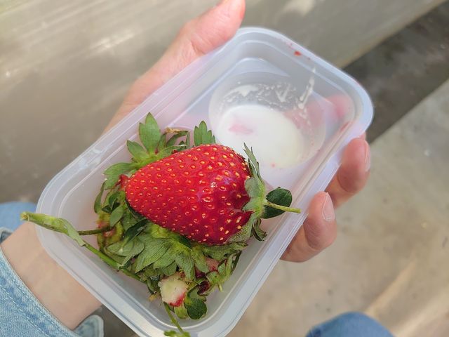 ����C�x���[_�c��ڂ̒��̂�������