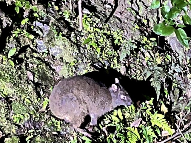 ���������ł��B������R����܂����B_�����I���W�i���T�[�r�X