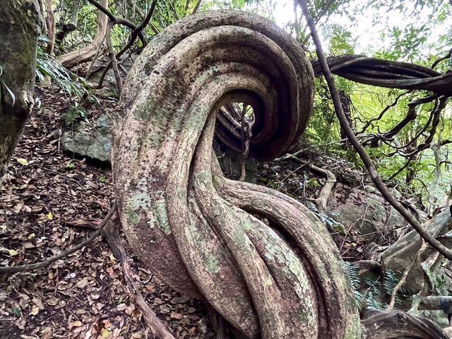 �}�_�������n�ł��B�i�C�g�c�A�[�Ɠ������ɂ���܂��B_�����I���W�i���T�[�r�X