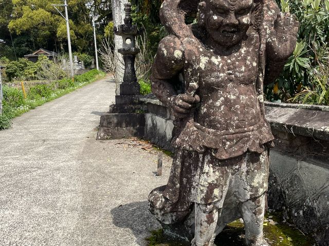 �k�P�Ă郉�C�_�[����̉~�����̓��e�ʐ^1