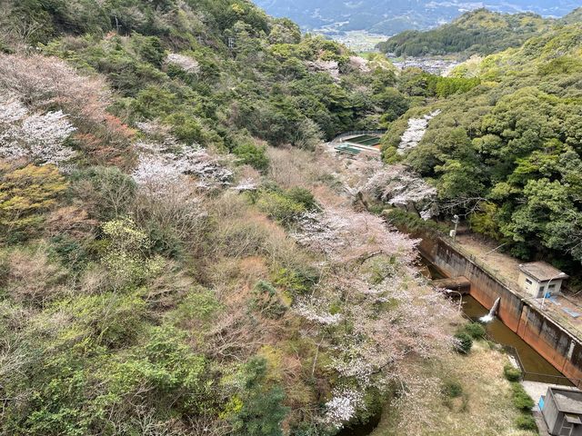 �_�����牺���������ł��`_�L�c�_���̍�