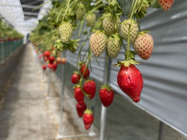 �͕P�ł��B_�O�����������ّO�c