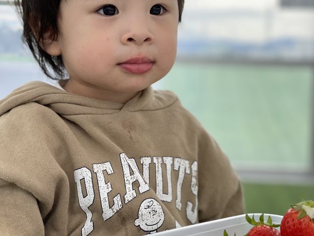 �֎q������̂ō����ĐH�ׂ���̂������ł��I_�_���N�o���Y�t�@�[��