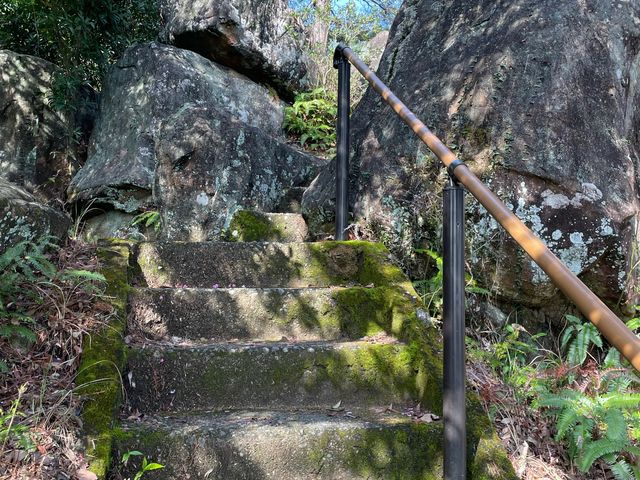 �k�P�Ă郉�C�_�[����̐�ގR�V�����̓��e�ʐ^1