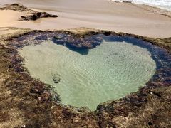 reikõn[gbNւ̓eʐ^1