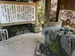 �k�P�Ă郉�C�_�[����̕����_�{�ւ̓��e�ʐ^1