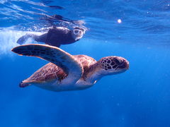 ����񂳂�̐Ί_���}�����T�[�r�X�߂̉��Ԃ��ւ̓��e�ʐ^1