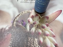 ILiA}@y^[i@kJTZbgX̎ʐ^1