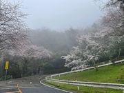 kPĂ郉C_[̋R̍̓eʐ^1