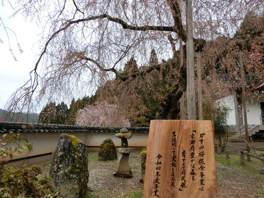 日吉(京都府)駅周辺の神社・神宮・寺院ランキングTOP10 - じゃらんnet